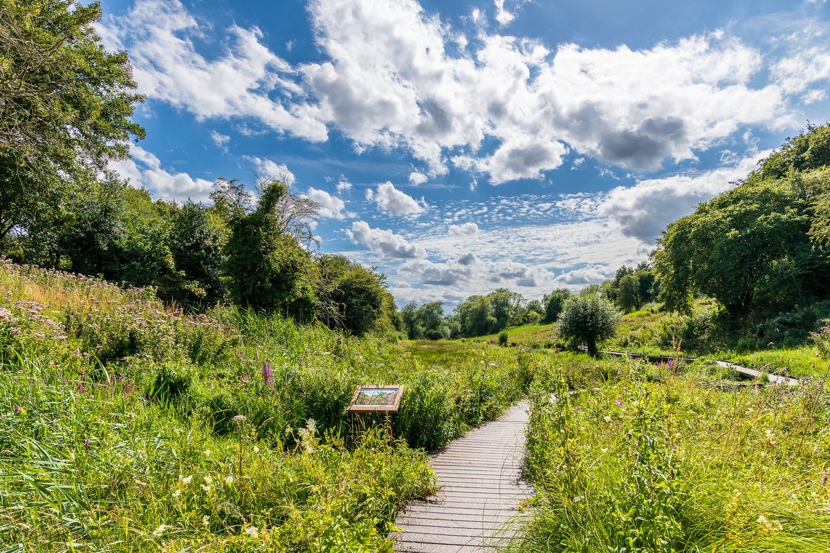 It's #WorldWetlandsDay, and this is the Lye Valley fen SSSI, an internationally rare habitat right in the middle of East Oxford. Home to rare plants and insects, its peat acts as a huge carbon store. Find out more here: friendsoflyevalley.org.uk #OxfordshireFens #LocalWildlifeSite