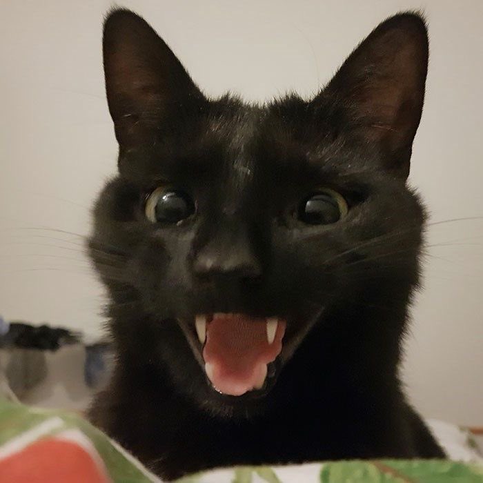 studygrammeuse's tweet photo. Weekend à 12h30 ! Passez une belle journée ! https://t.co/N3ribQp0tA