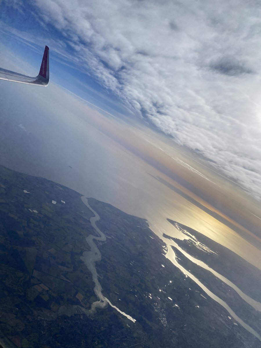 Ika Ferrer Gotić tweet media