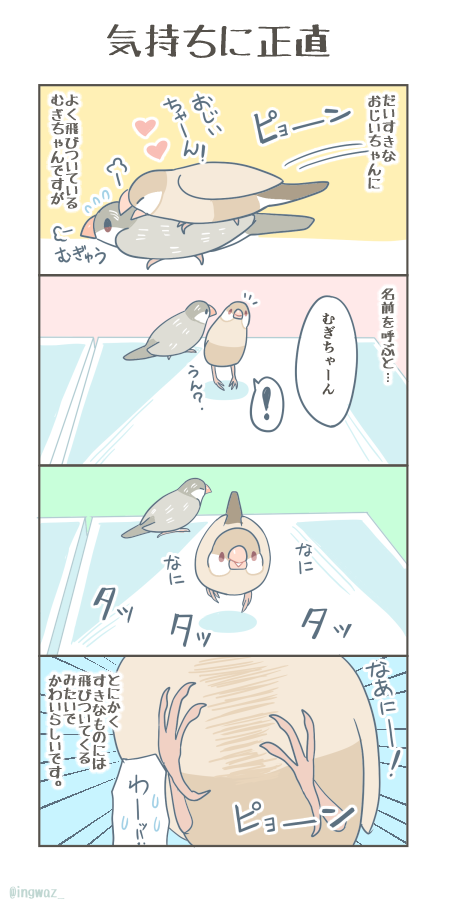 気持ちに正直。  #漫画がよめるハッシュタグ #Buncho #文鳥
