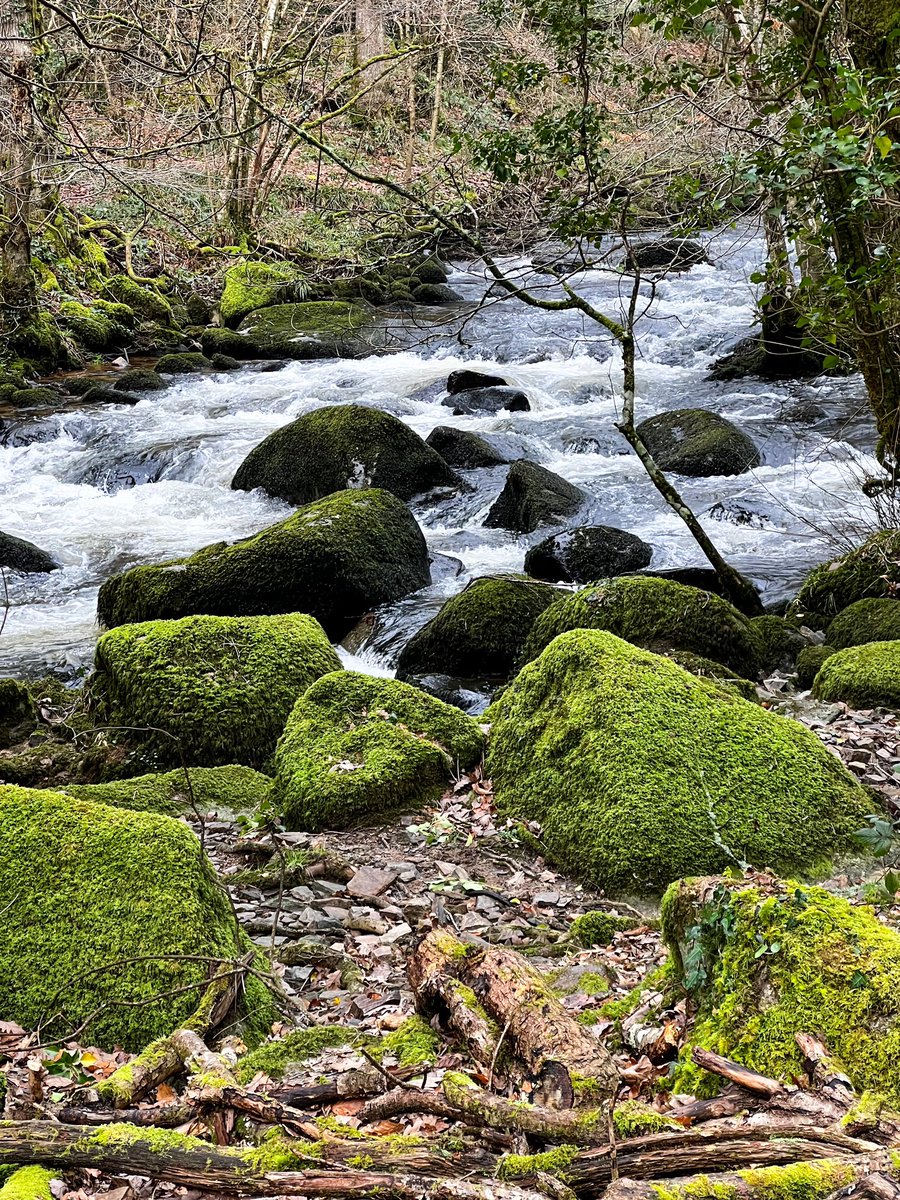 Fly Culture Magazine (@esfezine) on Twitter photo Walking the Upper Teign in Devon and talking about the issues fishing clubs face in the latest podcast.
buzzsprout.com/402997/episode… Walking the Upper Teign in Devon and talking about the issues fishing clubs face in the latest podcast.
buzzsprout.com/402997/episode…
