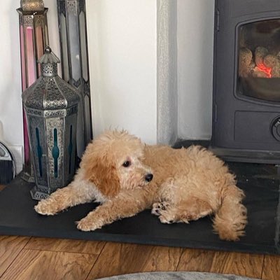 MarkBrotherston's tweet photo. #NewProfilePic https://t.co/geyzNq6KNE