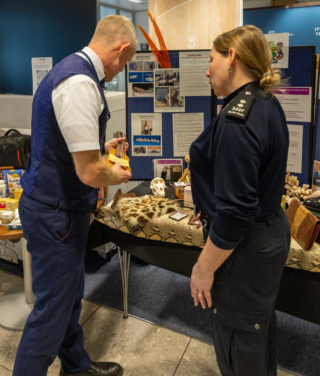 DYK: Cabin crew are trained to spot wildlife crime?✈️ Our partners at brilliant @British_Airways, together with UK Border Force, are hosting Illegal Wildlife Trade roadshows to upskill staff on how to spot the illegal wildlife trade. We love to see it!😍 #UnitedforWildlife