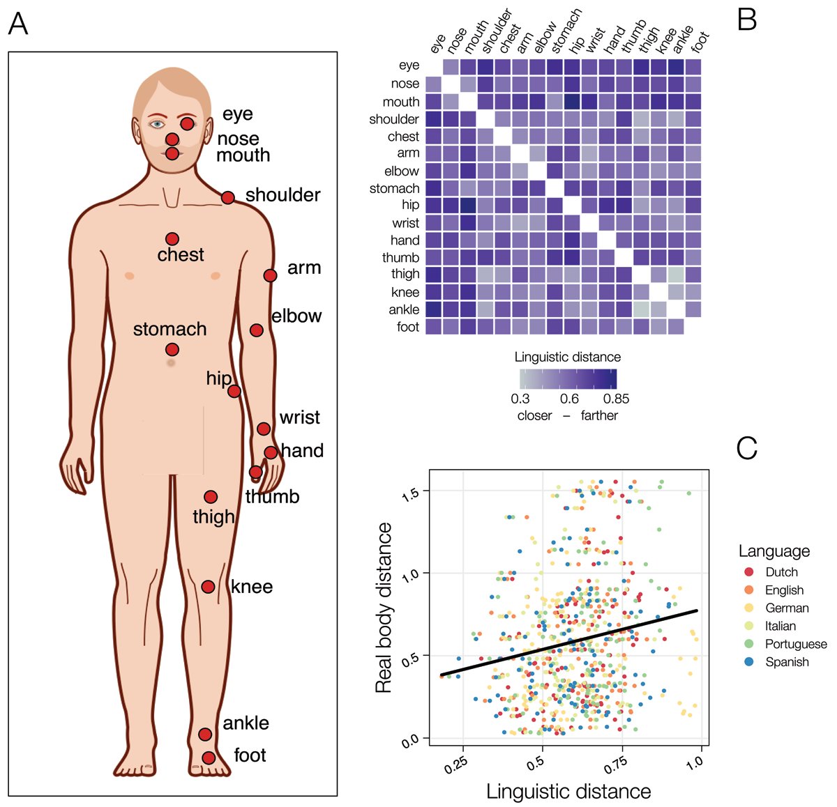 ReMap Lab tweet media