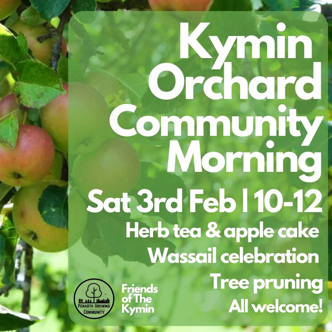 Looking forward to seeing those of you who can make it to our pruning and wassail celebration tomorrow!