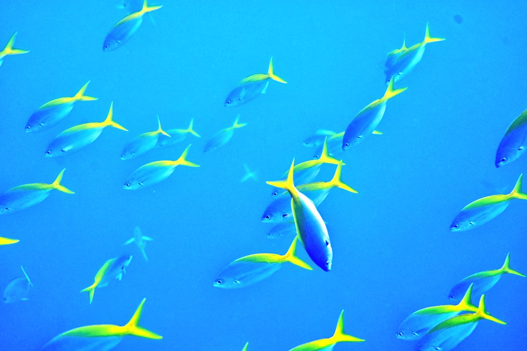 Mark Stratton tweet media