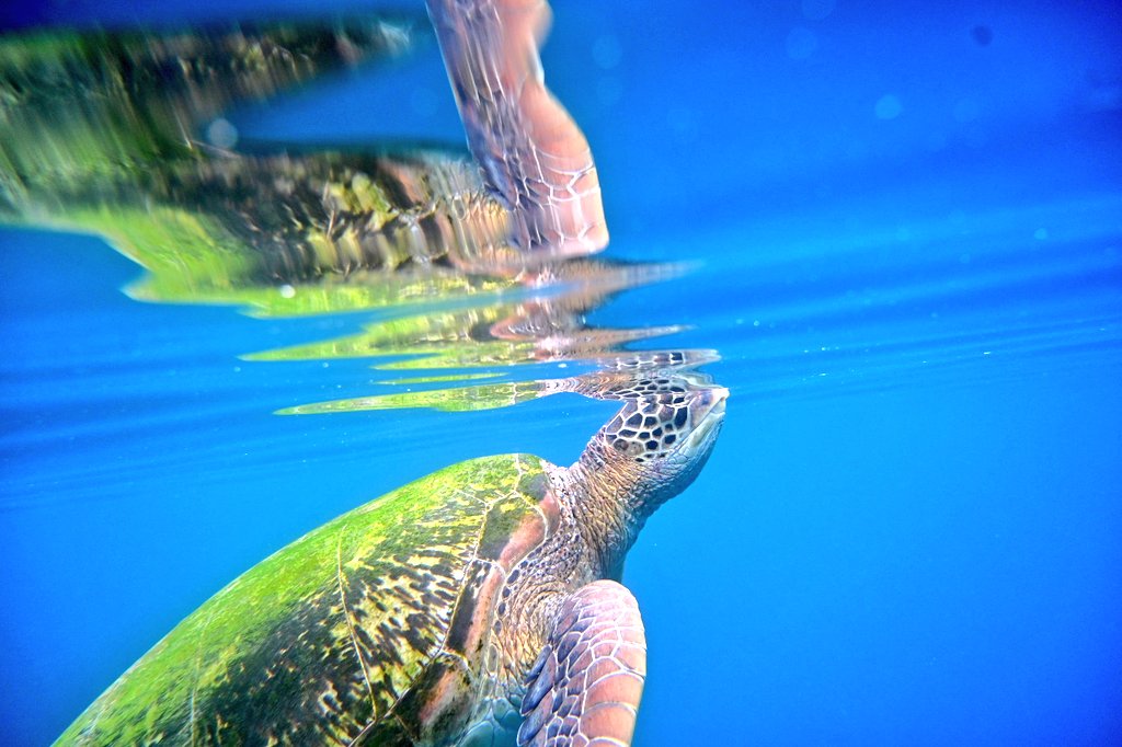 Mark Stratton tweet media