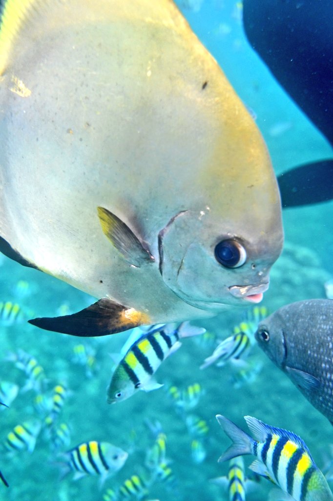 Mark Stratton tweet media