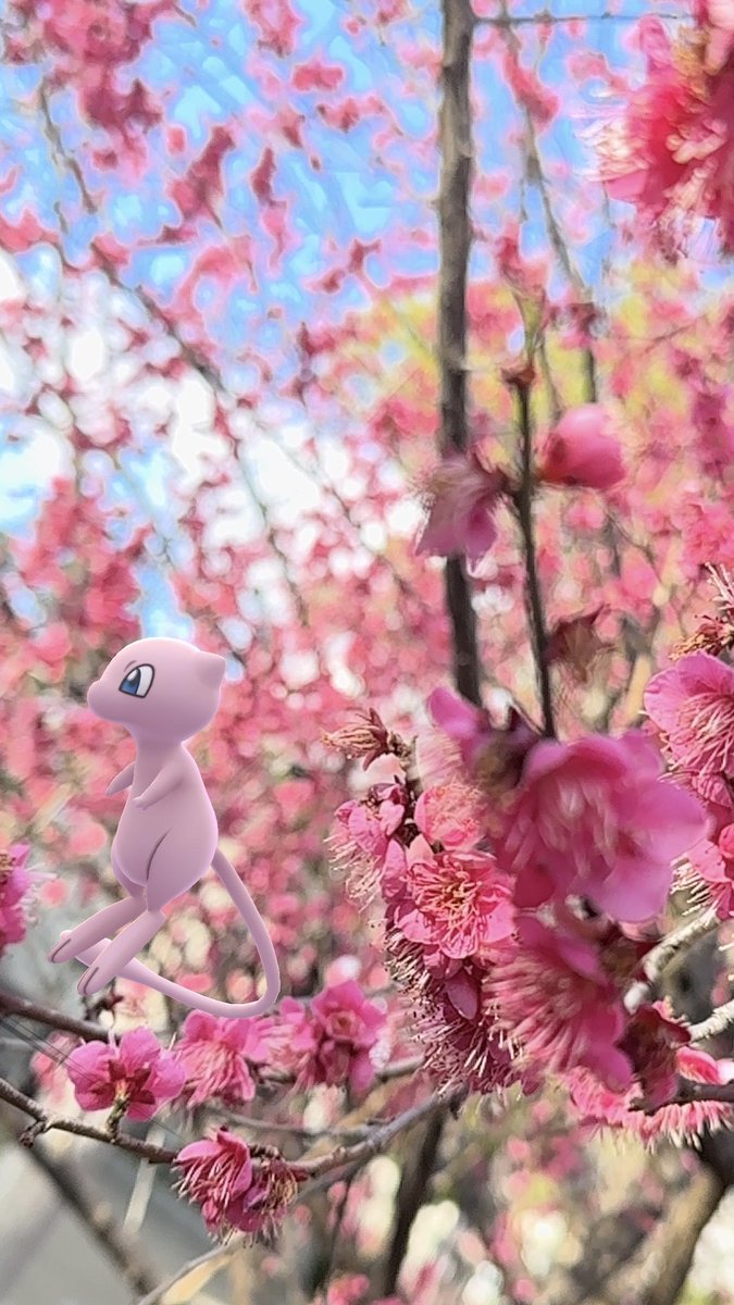 MattPokeGO's tweet photo. 春のお花AR🌸✨✨
すっぴん撮って出し📸✨

初級の方
手前から奥に引きながらシャッター連打👆
ピントが手前になったり奥になったりで楽しいAR撮れます。
ミュウは万能モデル💕

上級の方
前景中景後景を意識
奥行きとピント、綺麗系の方は明るさも意識（手でレンズ隠す距離を調整）
リプに修正案up https://t.co/mdSvPsovkv