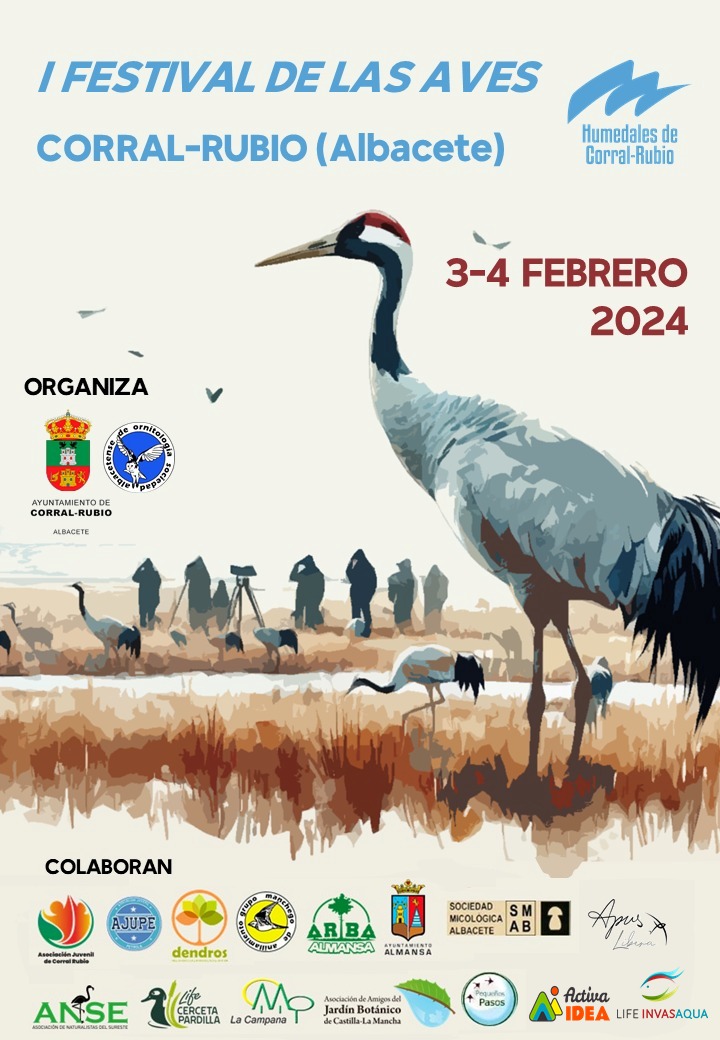 Mañana conmemoramos el #DiaMundialDeLosHumedales con el I Festival de las Aves de #CorralRubio. Entidades de #Albacete y otras regiones pondrán nombre y apellidos a la biodiversidad de estos ecosistemas y a sus amenazas e impactos, también #EspeciesExoticasInvasoras ¡Anímate! ⬇️