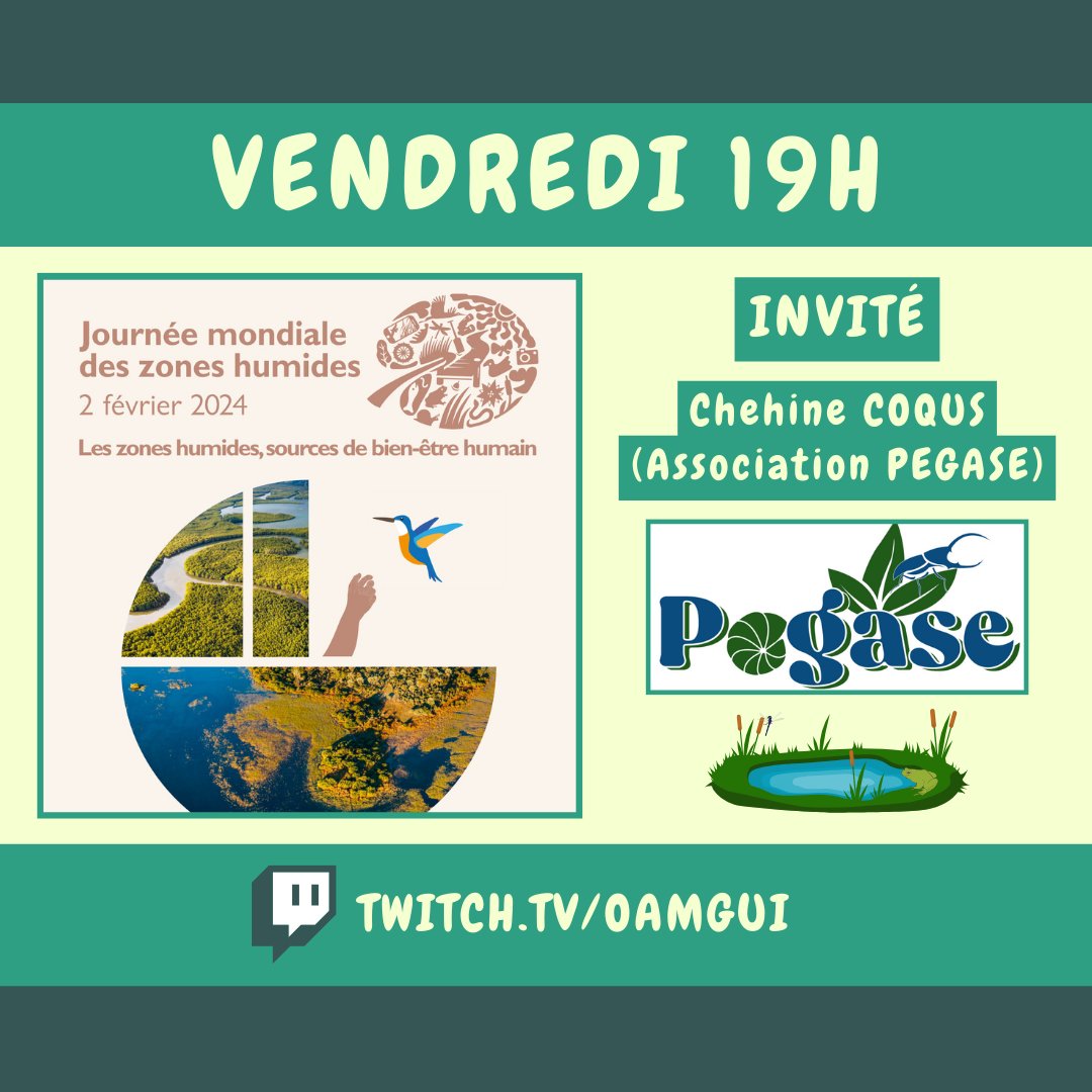 Oam_Gui's tweet photo. Aujourd'hui c'est la journée mondiale des zones humides ! 💧 🐸 🌾

A cette occasion, je vous propose un live Twitch pour parler de la thématique 2024 avec l'association PEGASE 

Rendez-vous 19H ➡️ https://t.co/0XrzBApn6I 

#twitch #zoneshumides #WorldWetlandsDay #JMZH #JMZH2024 https://t.co/YGCGEyWgJZ