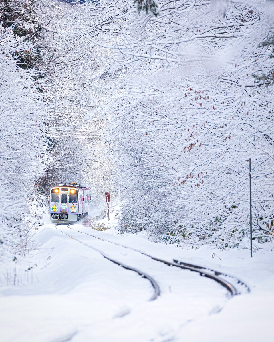 yuyar33's tweet photo. 会津鉄道を撮りました✨

#東京カメラ部 https://t.co/aA7x31L0vk