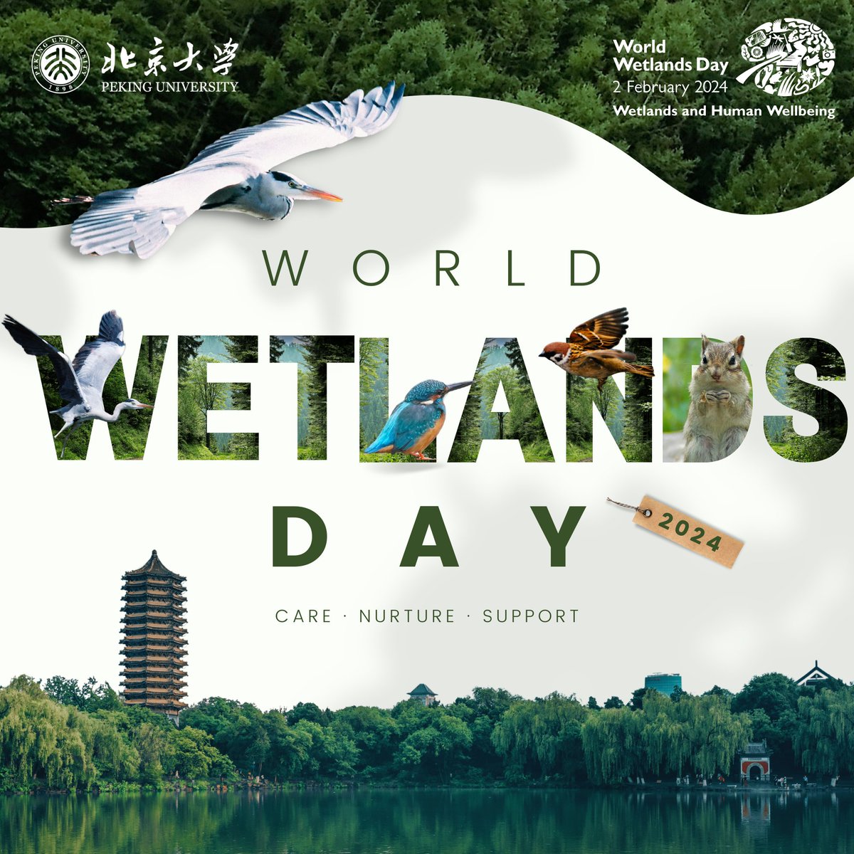 PKU1898's tweet image. It's #WorldWetlandsDay!

#DYK? #PKUCampus, with a rich variety of water bodies, miniaturizes nearly all types of #wetland landscapes in East Asia, showcasing the rich #biodiversity that wetlands nurture and sustain. 🪶💧🌿

#WWD2024 @RamsarConv @UNEP @UNBiodiversity @UNinChina