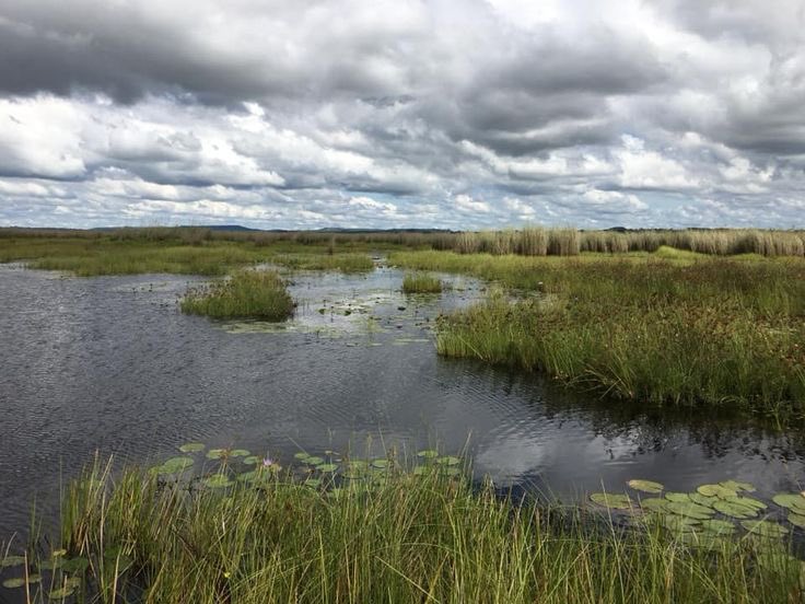 Wetlands are the lungs of the earth, one of the biggest carbon sinks and a habitat to several wildlife species. 
We need to appreciate and protect them. 

Happy #WorldWetlandsDay2024