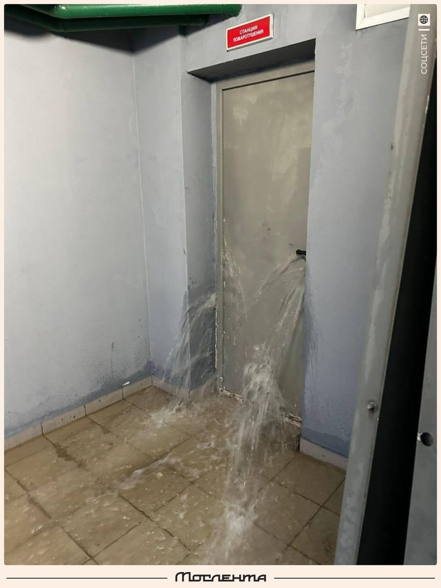 Мослента tweet media