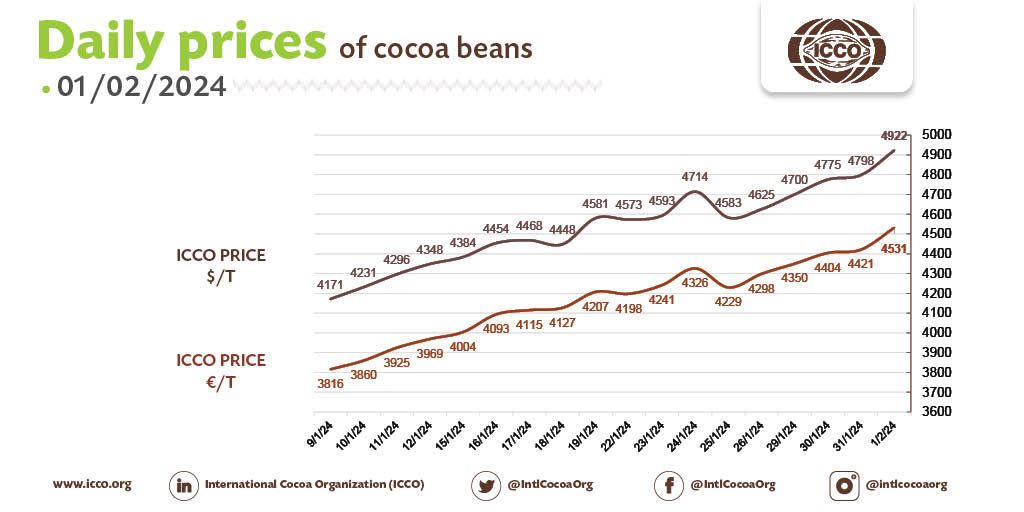🔴 01/02/2024 #Cocoa Daily Prices - Prix du jour - Precios diarios - Ежедневные цены
 
💵 ICCO daily price - 4922.35 $/T
💶 ICCO daily price - 4530.77 €/T
 
More #cocoa statistical info in our webpage🔗bit.ly/36Ad74r

#ICCOCocoaHub #ICCOCocoaData #ICCOCocoaKnowledge