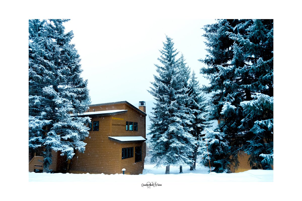 QuarterbackVis's tweet photo. ❄️ Winter Season ❄️ https://t.co/rW3qQXmOY1