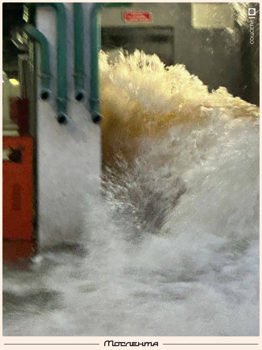 Мослента tweet media