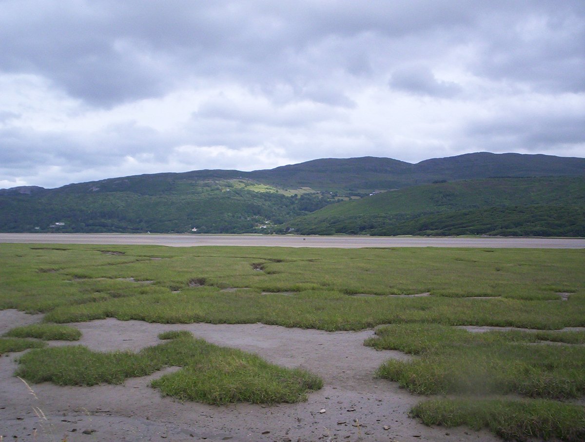 DarylBurdon's tweet photo. How fitting that on #WorldWetlandsDay2024 I'm finalising a paper which investigates our current understanding of the relationships between our marine #naturalcapitalassets and the #SocietalBenefits they deliver. #CarbonSequestration #Recreation #FoodProduction #PaperWritingFriday https://t.co/pn5Mvs6rQC