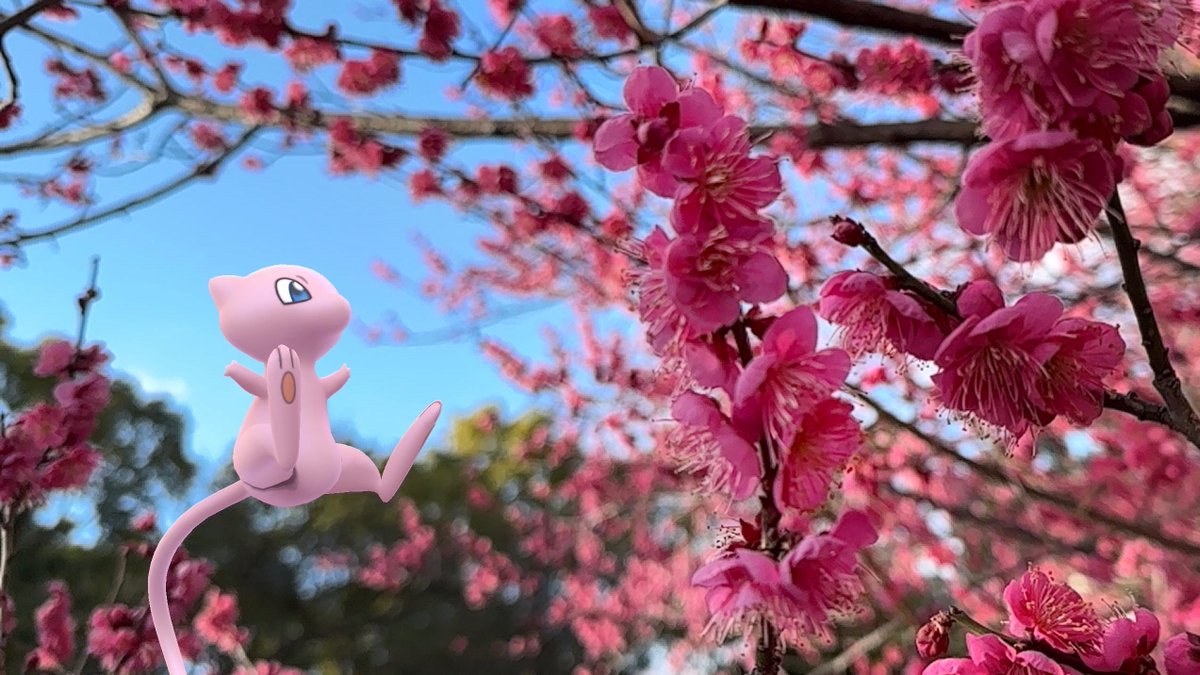 MattPokeGO's tweet photo. Snapseedという無料のアプリ使ってみました
ツールのブラシや部分調整を使って、見て欲しい部分を少し明るくしてます

１枚目右半分少し明るく💡

２枚目Snapseedのツール

比較してみて📸✨✨
３枚目使用前　ピントはOKだが暗いので伝わりづらい

４枚目使用後　明るくなって見て欲しい所分かる👍 https://t.co/Of7optiY2R