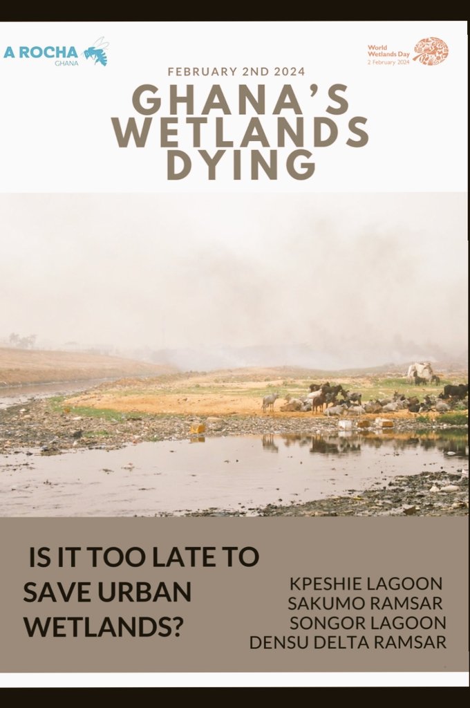 AngelinaserwaaB's tweet photo. We need to be serious as a nation and protect our wetlands before it's too late. Water is the basis of our lives. Why do we think we can destroy it and still live? #wetlands https://t.co/2z4AqG9s1D