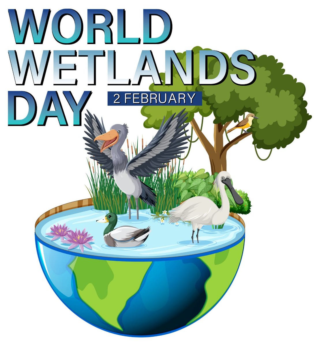 Today marks 53 years since the adoption of the Convention on Wetlands on 2 February 1971, in the Iranian city of Ramsar on the shores of the Caspian Sea. 🌊 Join us as we celebrate #WorldWetlandsDay&raise awareness for these vital ecosystems! #WetlandsDay #RamsarConvention