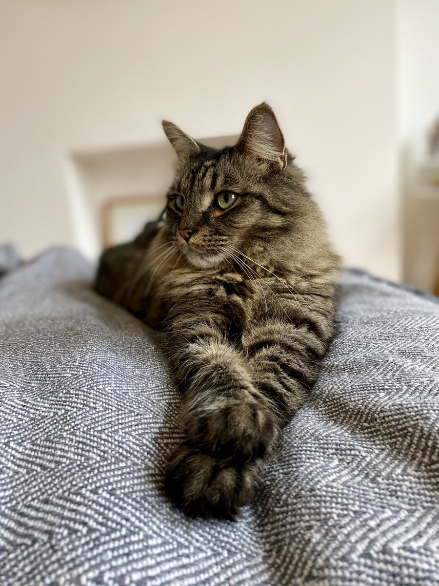 Clare Runacres tweet media