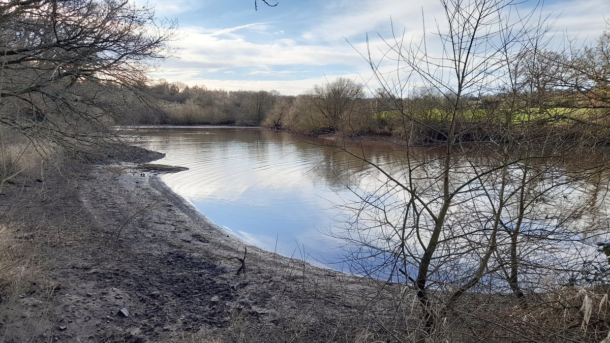 Jackhaye's tweet photo. Another 3-4 ft gone from #StanleyPool now down to summer level (is Endon flooded I wonder)! 1st Oystercatcher, 1 lapwing, 12 Goosander, a gross of Canada Geese, and 7 teal, 5 Tufties and a kingfisher at the bridge pool end @Staffsbirdnews https://t.co/tNhOFMmxXa