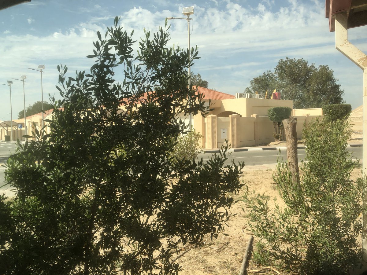 00Object's tweet image. 2024?