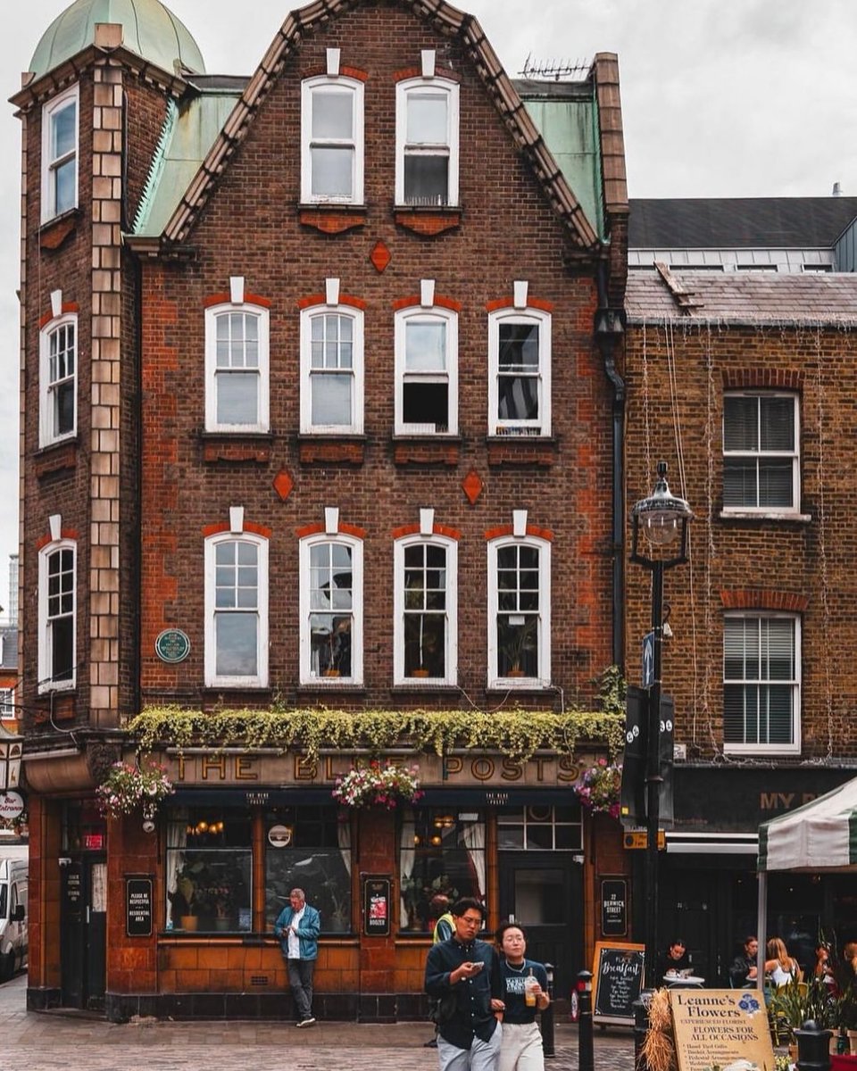 thisissoho tweet media