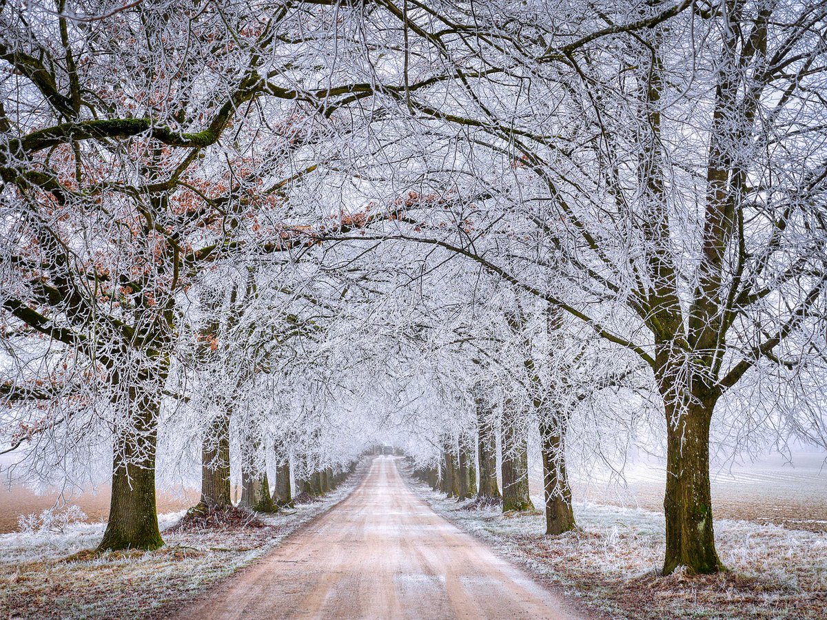 Winter can be tough on hearing aids, with moisture and condensation being particular enemies. We have put together some tips to help look after your hearing aids in cold weather and keep them working well.  Read more here: 
sevenoakshearing.co.uk/2024/02/01/win…