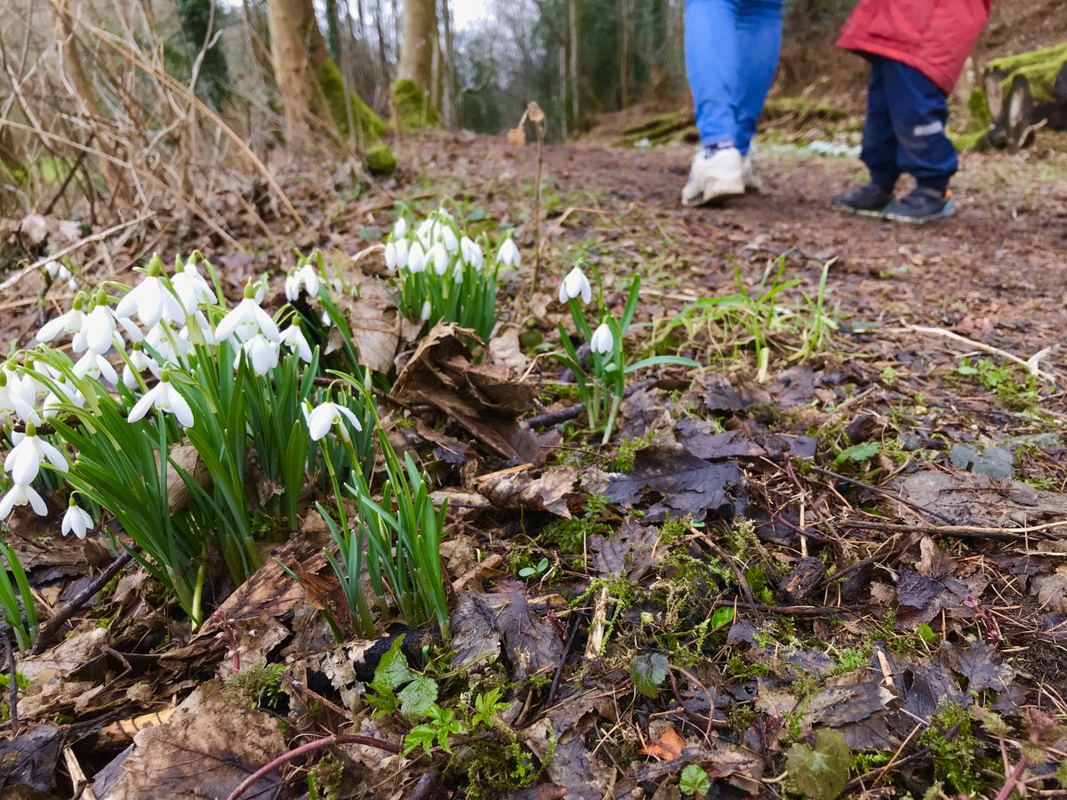 Ramblers Scotland tweet media