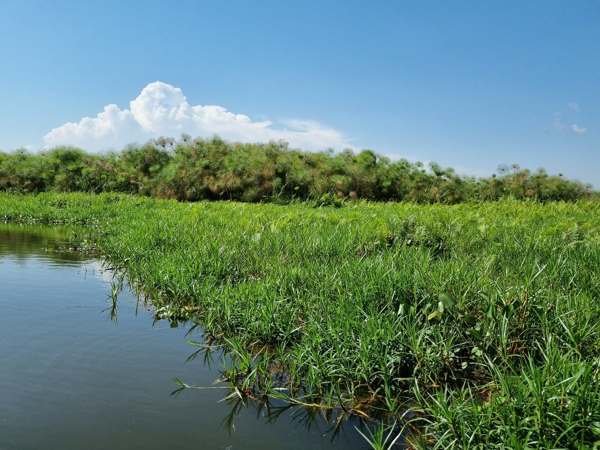 Why not spend this  #WorldWetlandsDay thinking about the important questions in wetland and peatland research that still need answers? 

There is still time to fill out the #PeatQuest survey! Deadline extended until the 16th February 

ucc.ie/en/peatquest/