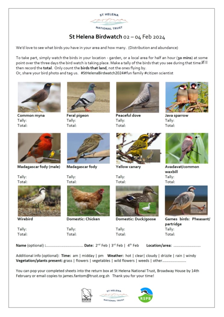 St Helena birds, what can you spot? 👀🐓🐤🕊️🦆

#StHelenabirds #citizenscience #Birdwatch2024