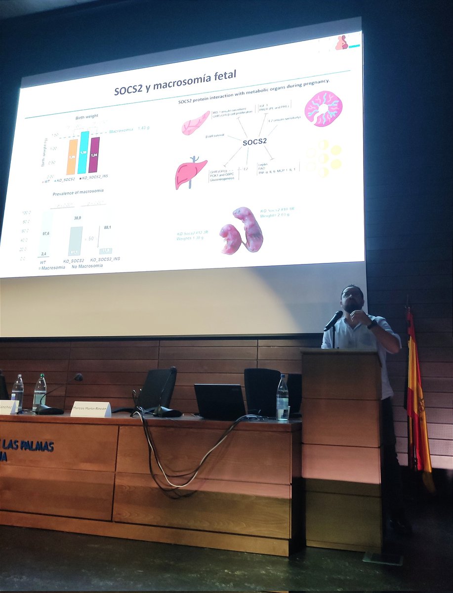 Continuamos con la magnífica ponencia del Dr. Yeray Brito <a href="/Yeraybc/">YerayBC</a> del GIR DEA del IUIBS <a href="/Dendocrino/">Diabetes Y Endocrino</a> ¡Muchas gracias Yeray! 👏🏽👏🏽👏🏽