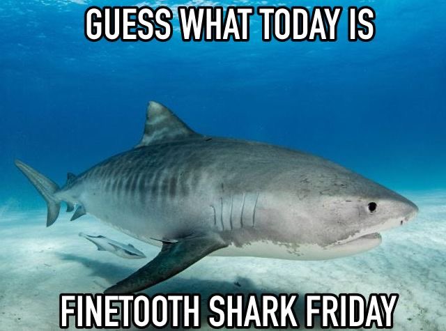 sharkoftheweek's tweet photo. https://t.co/QDjGJnbvmq
