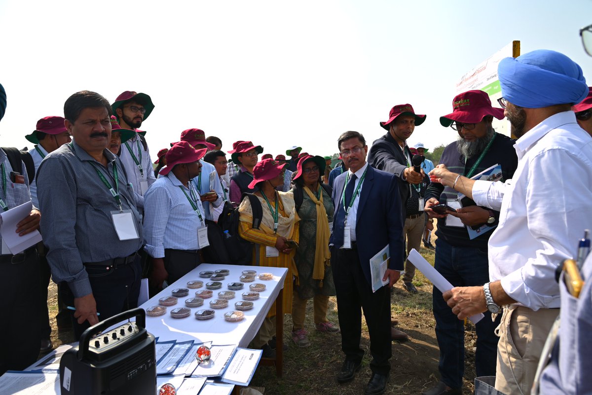 #Chickpea field day at #ICRISAT!

ICRISAT welcomed chickpea researchers and breeders for a two-day gathering held on January 30 and 31, 2024, at its headquarters. 

The purpose of the event was to provide insights into various chickpea varieties. The meeting saw the participation