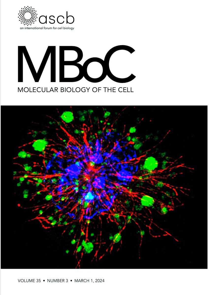 Krishanu Dey Das tweet media