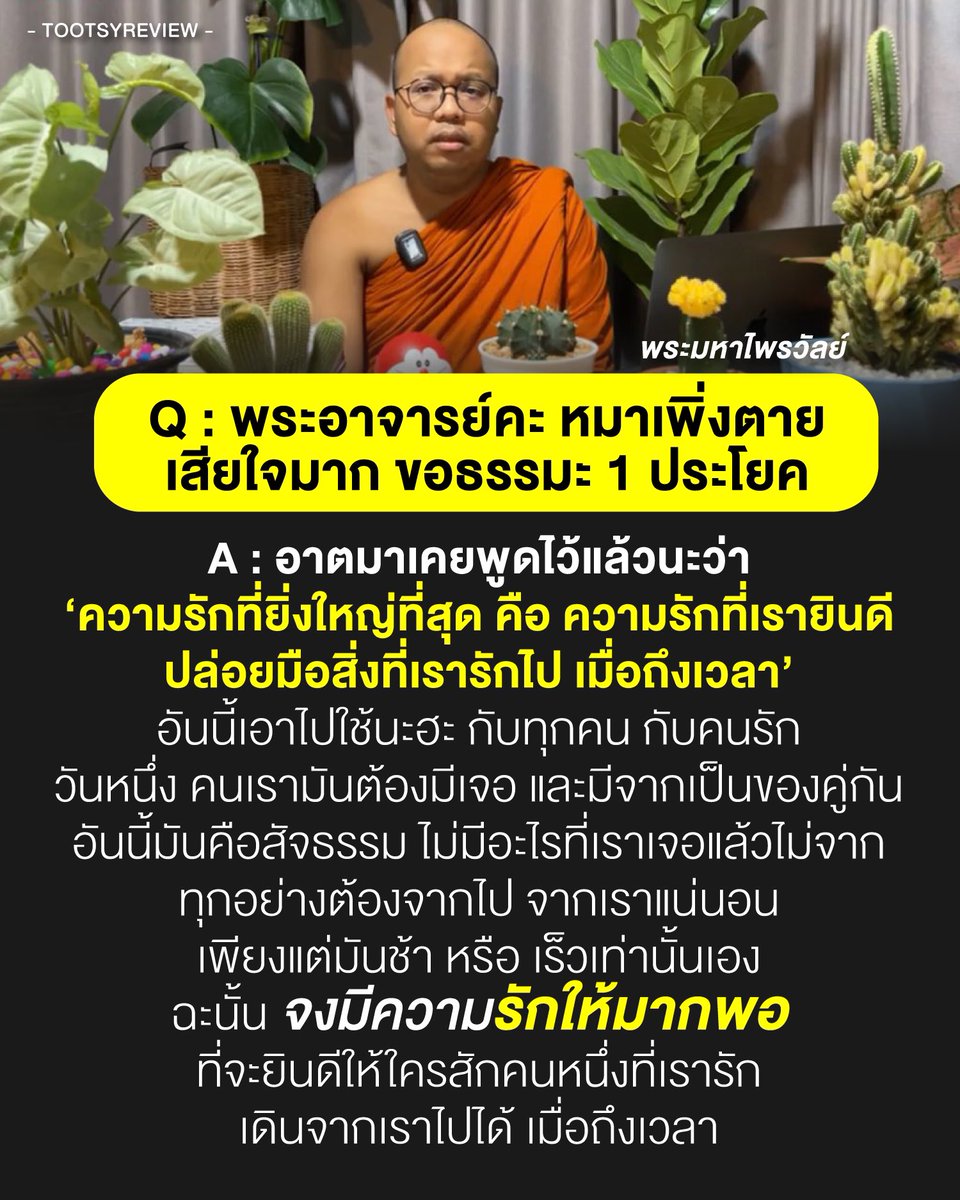 99333oxy's tweet image. เป็นคำที่ฉันอ่านบ่อยมาก ตั้งแต่หมาตาย… และคนในครอบครัวจากไป …ตอนนี้หมาอีกสองตัวกำลังแก่ลง …  #GlutaStory