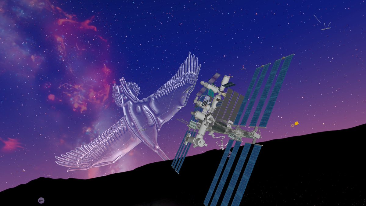 Night Sky tweet media