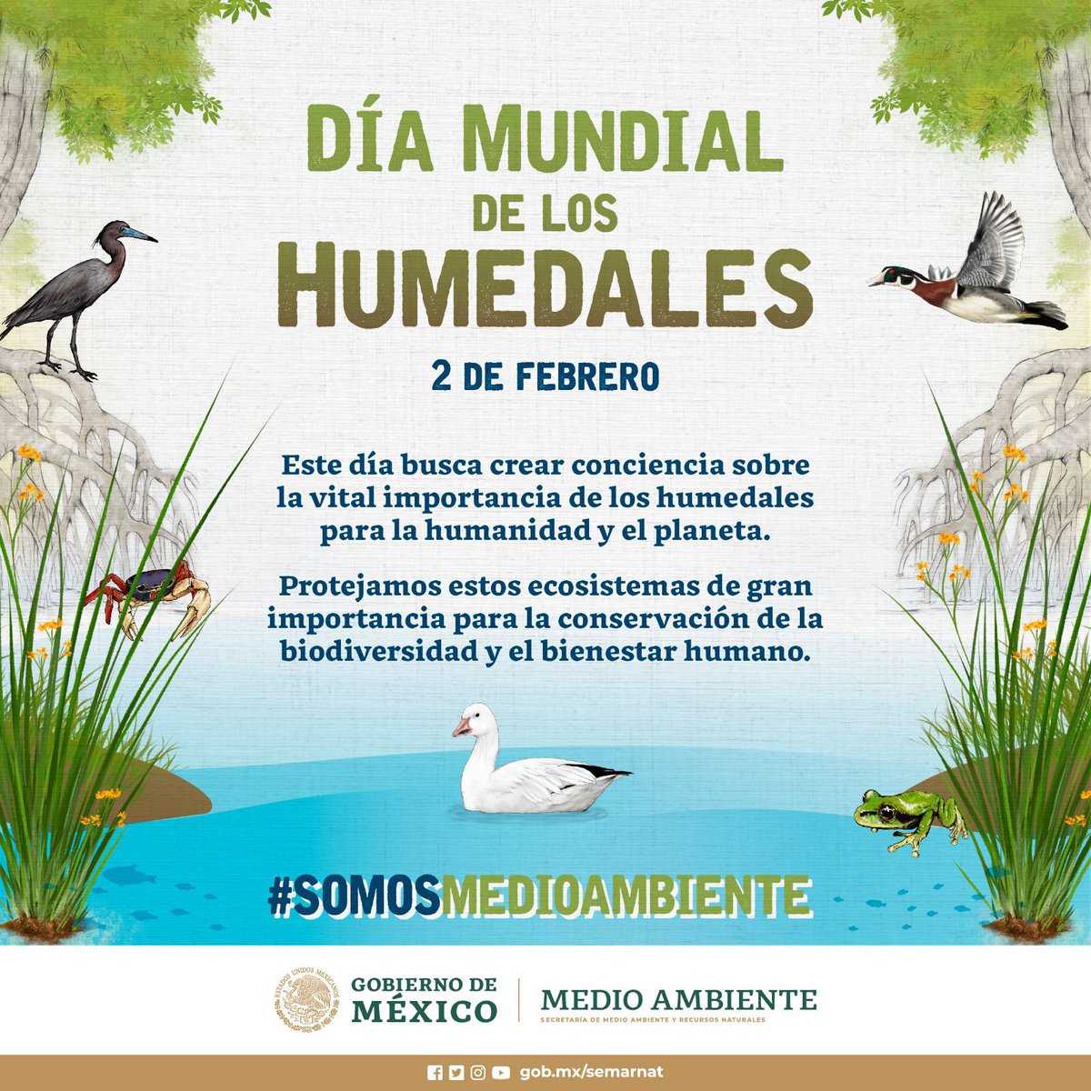 🌿 Los #humedales son de los ecosistemas con mayor biodiversidad del mundo. Su conservación es vital para un futuro sustentable y ambientalmente sano. 🌿🍃

#DíaDeLosHumedales