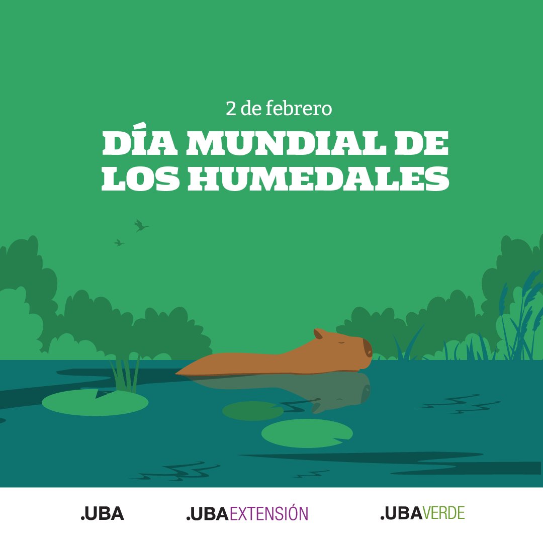 UbaVerde's tweet photo. ¡2 de febrero, Día Mundial de los Humedales!
En Argentina, ocupan entre un 21 y 23% del territorio, pero enfrentan amenazas como: 
⚠️ Impermeabilización del suelo.
⚠️ Extracción de flora y fauna.
⚠️ Uso ilimitado del agua.
⚠️ Deposición de efluentes.
⚠️ Deposición de residuos. https://t.co/5nlJ350CKC