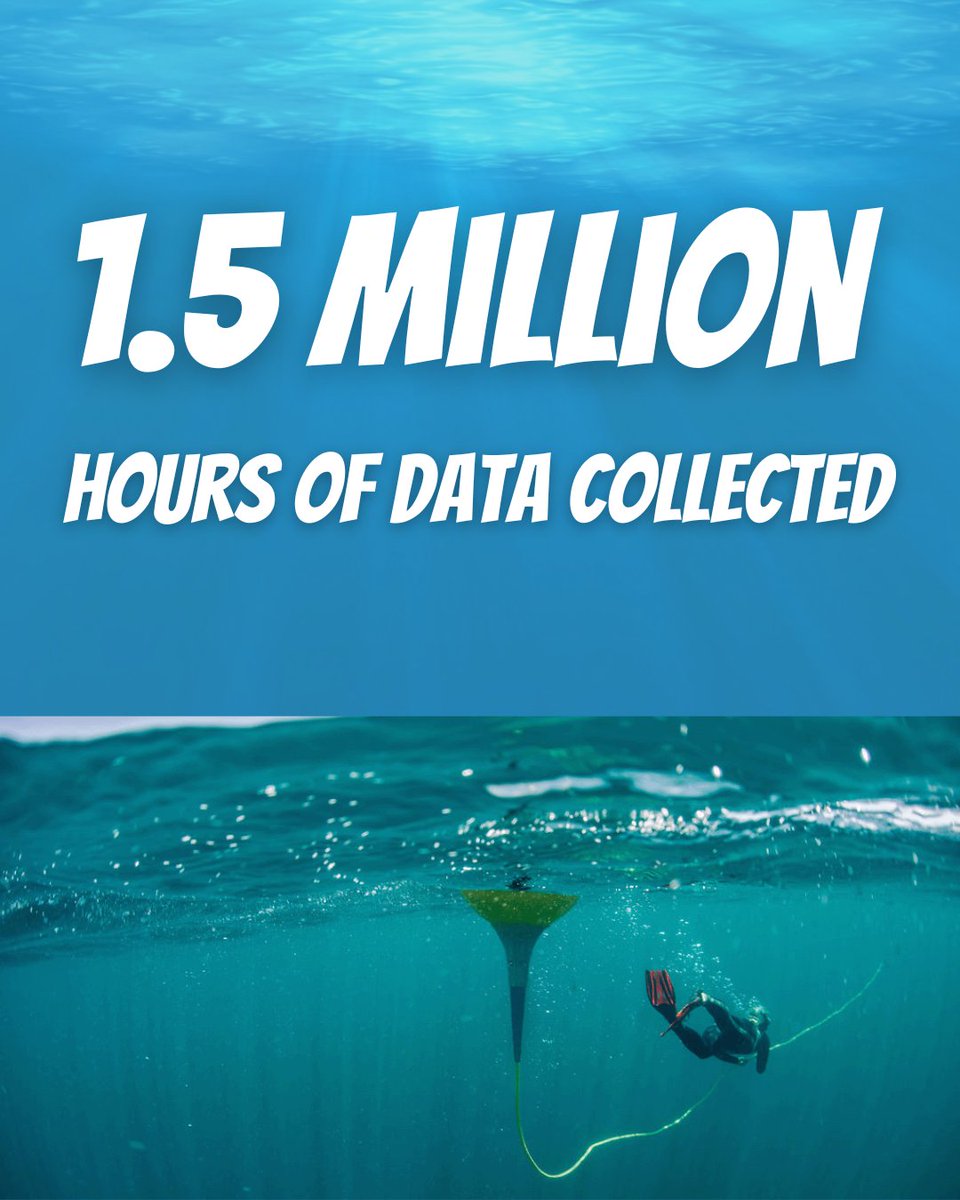 Aqualink tweet media