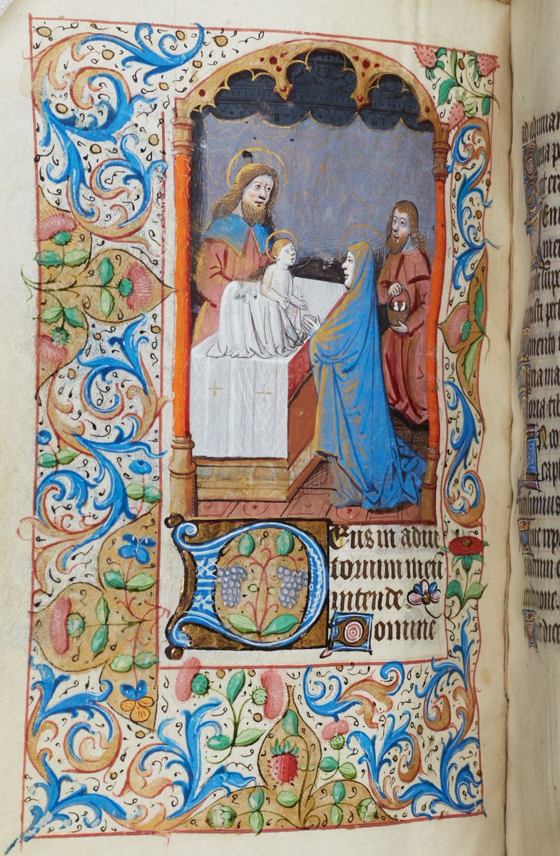 Today we celebrate Candlemas, when Jesus was presented in the Temple, and Simeon and Anna recognised him as the Messiah. This miniature comes from the Honresfield Book of Hours, produced in the 1470s and presented to Lambeth in 2022. [MS 5204 f. 72v].