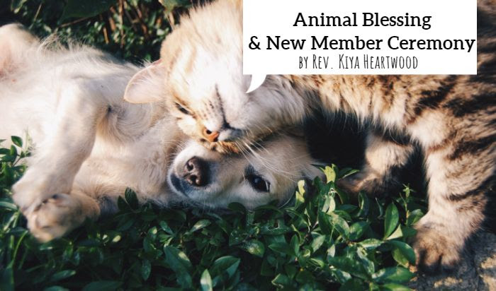 uucbv's tweet photo. 2/4/24 Sunday Services

Animal Blessing &amp; New Member Ceremony by Rev. Kiya Heartwood

#brazosuu #animalblessing #newmembers #ceremony #membership #blessings #memorial #pets #welcome #unitarianuniversalist #uucbv

Video of Service available via our Youtube https://t.co/4hbsE5Fsw1
