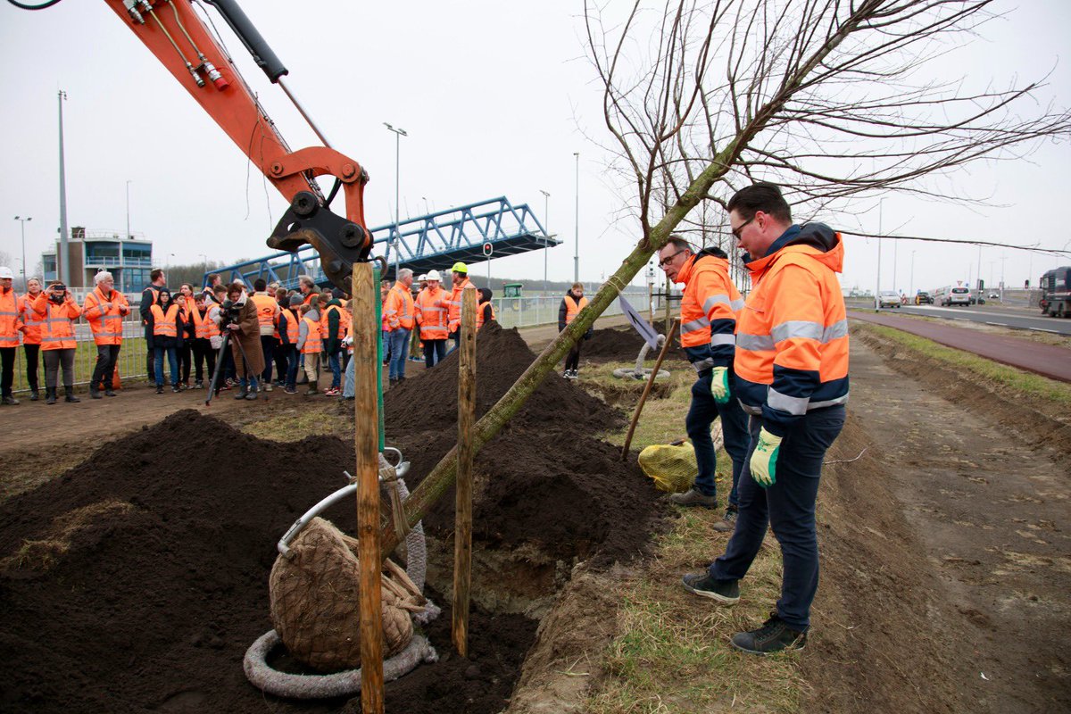 NieuweSluisTern's tweet image. 🌳Vanmorgen markeerden we samen met de @Gem_Terneuzen en de Prins Willem van Oranjeschool de eerste iepen, zodat het ‘groen’ weer terugkomt op het Noordzeesluizencomplex.