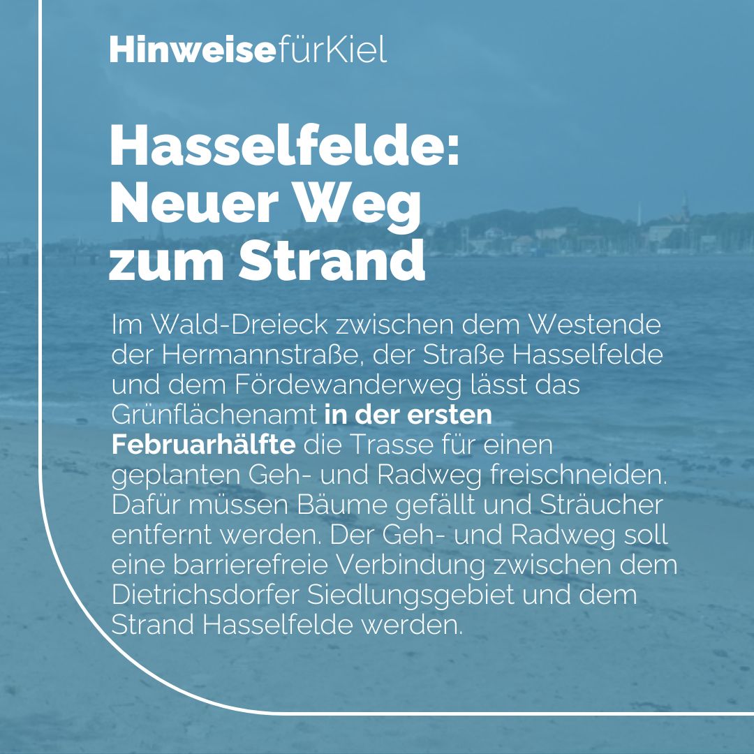 stadt_kiel's tweet photo. Für einen neuen Geh- und Radweg zum #Kieler Strand #Hasselfelde im Walddreieck zwischen dem Westende der Hermannstraße, der Straße Hasselfelde und dem Fördewanderweg müssen Bäume und Sträucher gefällt werden.
Mehr Info auf: https://t.co/dIV2te90Sa https://t.co/47J9giCpNM