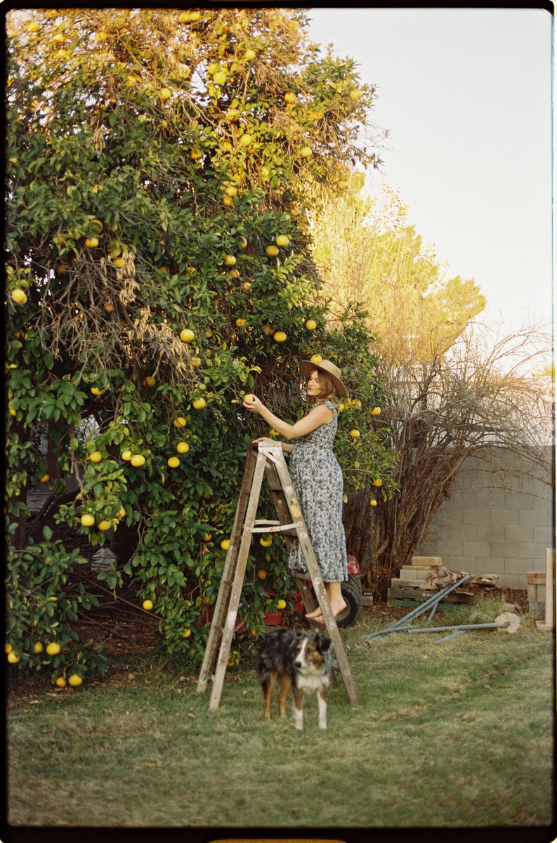 natalieallenco's tweet photo. Me &amp; my girl in my childhood backyard, captured by my best friend on film. 💛 https://t.co/xAEglISEsH
