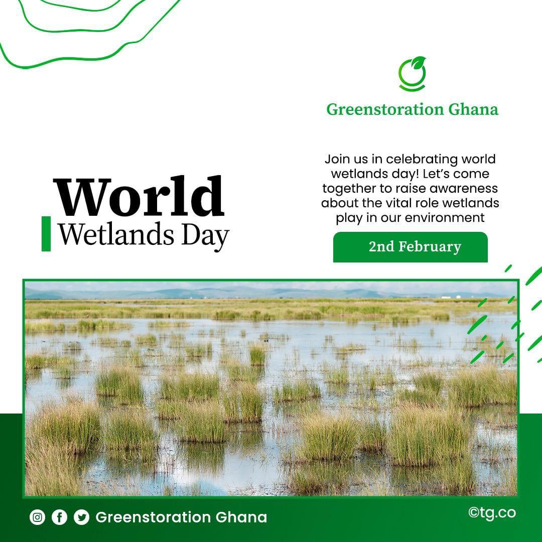 greenstoration's tweet photo. Let’s appreciate the invaluable role that wetlands play in our ecosystem. They not only support a wide range of plant and animal species but also provide essential services for humans such as flood control, water purification, and carbon storage.
#WorldWetlandsDay #Sustainability https://t.co/teszbYVmoK