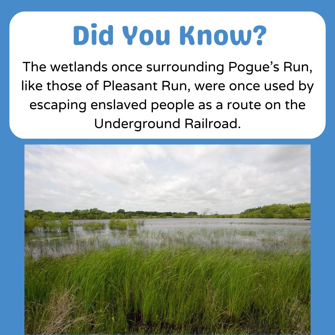 ourwaterways's tweet photo. Did you know that like those of Pleasant Run, the wetlands once surrounding Pogue’s Run were used by escaping enslaved people as a route on the Underground Railroad? https://t.co/JqBsC91Eye